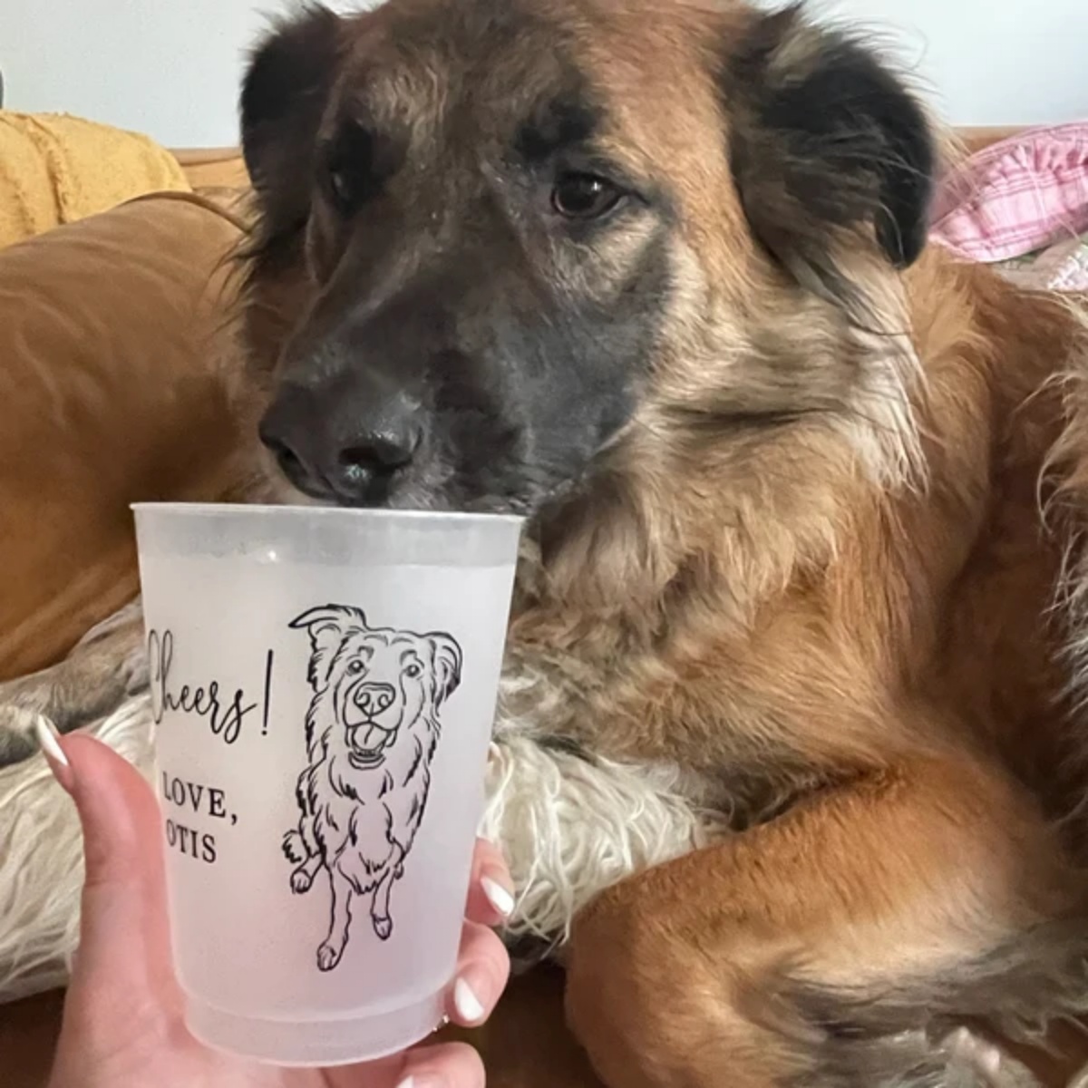 10/50 Kişiselleştirilmiş Ahır  - Plastic Cup 50Pcs incelemesi ve fiyatı